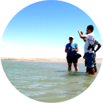 Mejora Contínua y Certificación