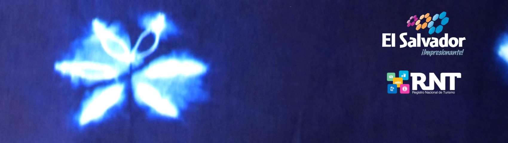 Registro Nacional de Turismo