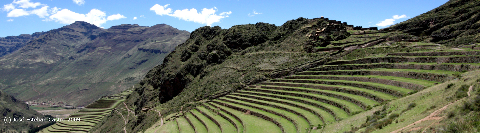 Estudios de negocios